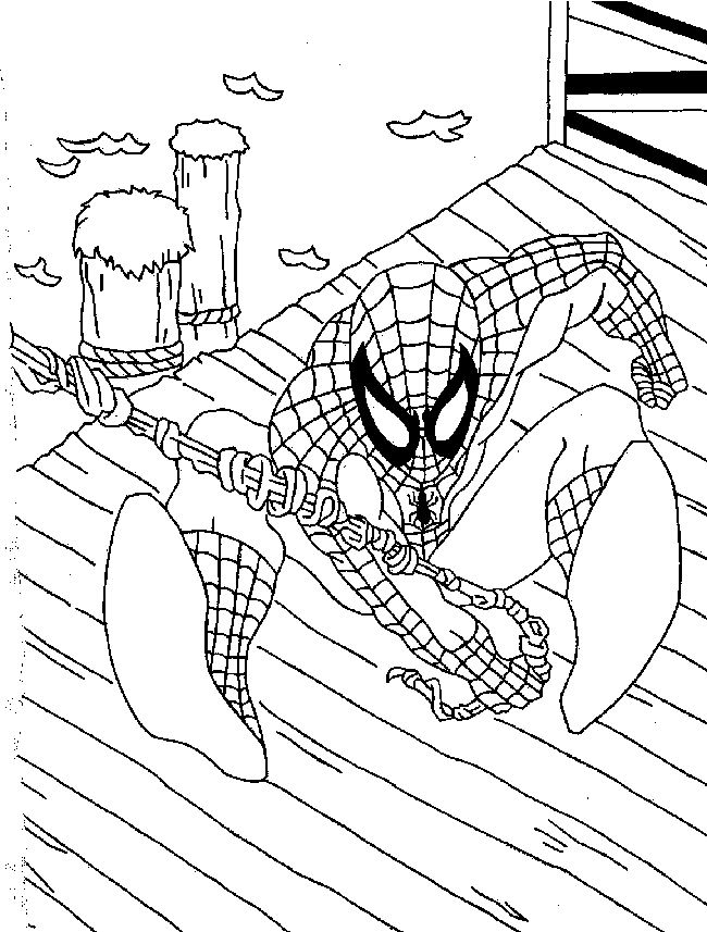 Spiderman #48465
