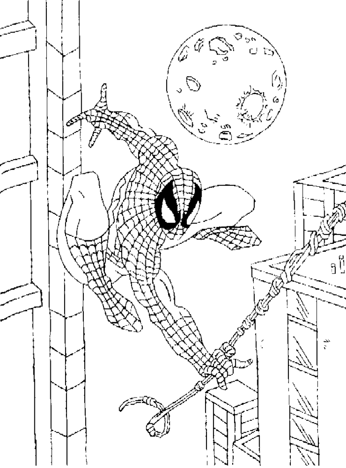 Spiderman #48471