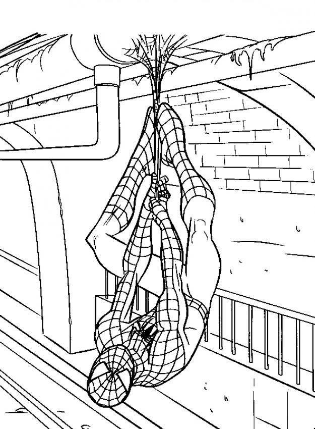 Spiderman #48474