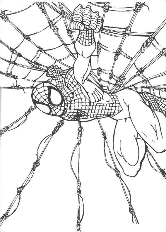 Spiderman #48476