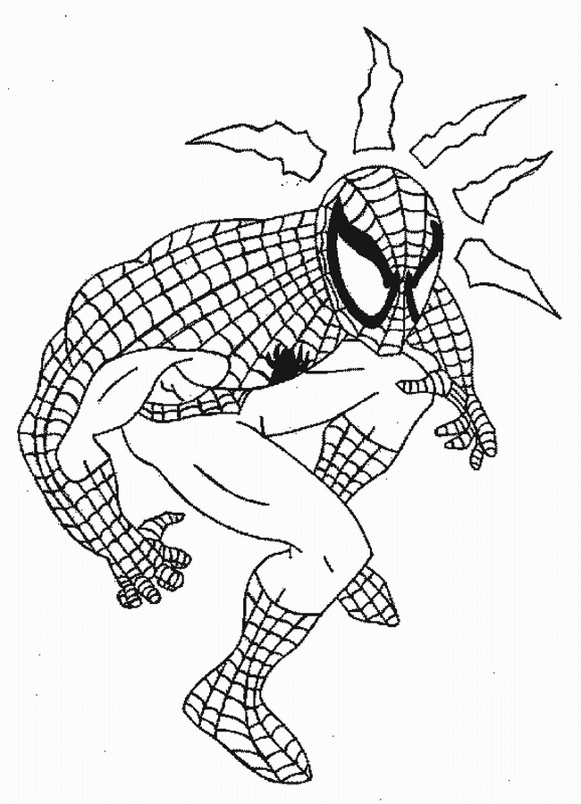 Spiderman #48480
