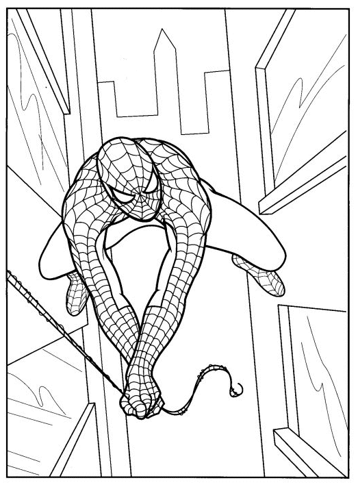 Spiderman #48481