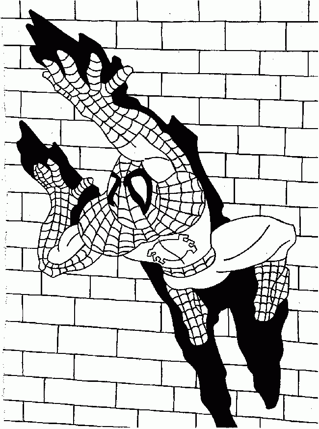 Spiderman #48482