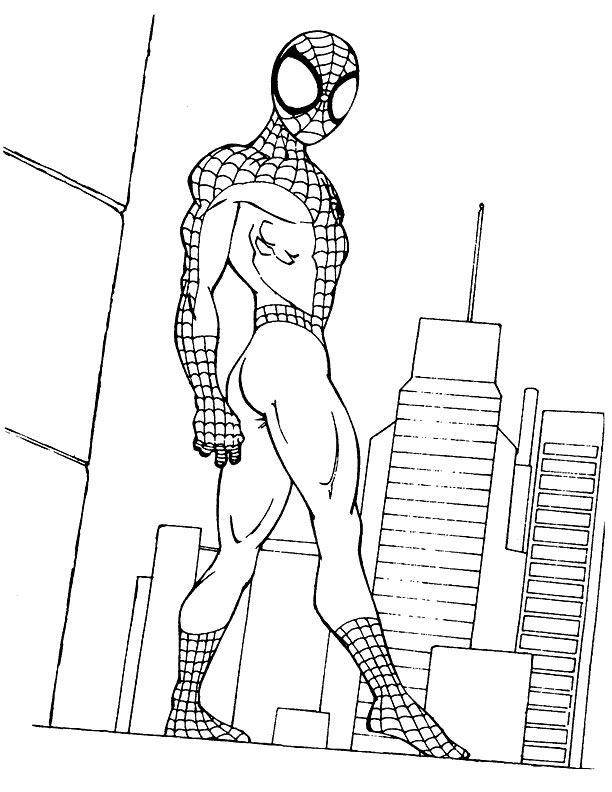 Spiderman #48485