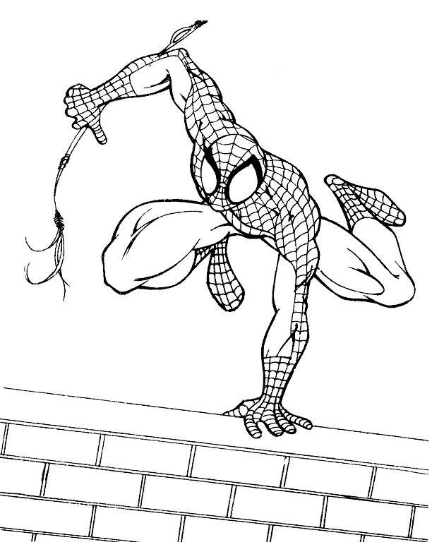 Spiderman #48487