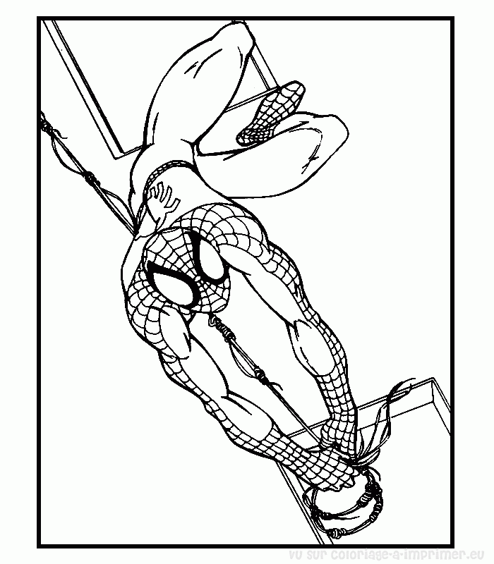 Spiderman #48488