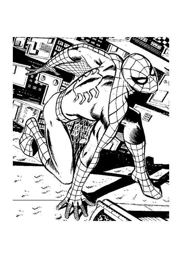 Spiderman #48490