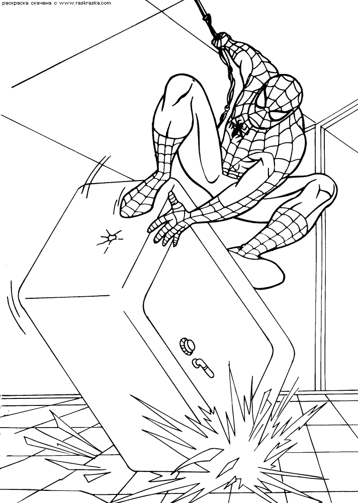 Spiderman #48493