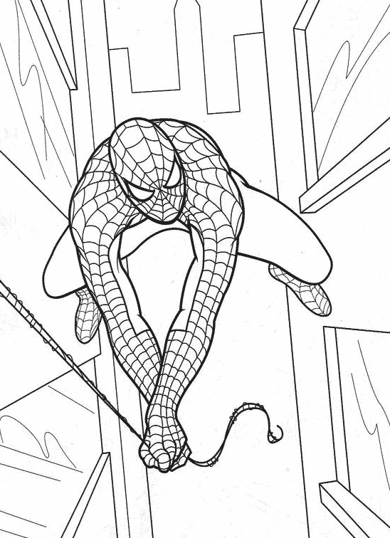 Spiderman #48494