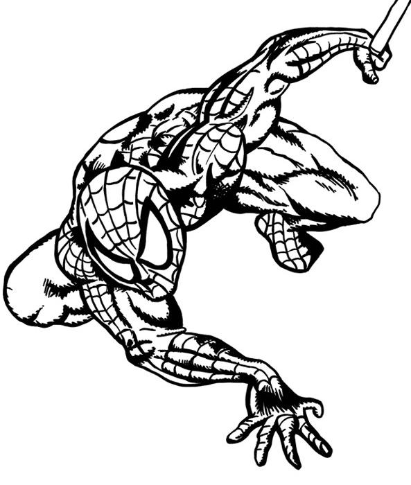 Spiderman #48495