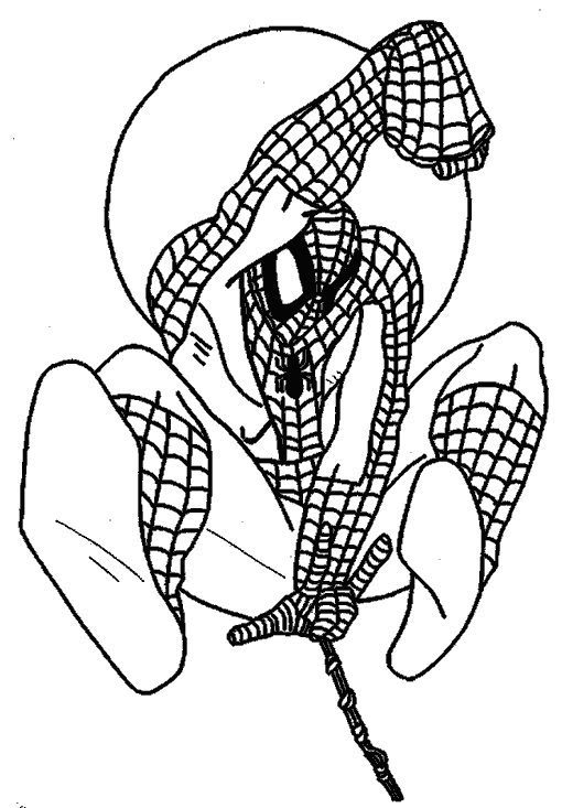 Spiderman #48496