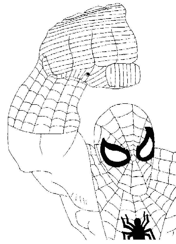 Spiderman #48499