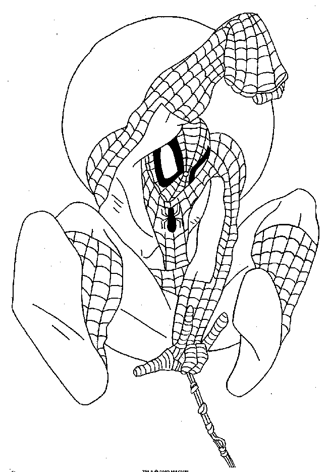 Spiderman #48501