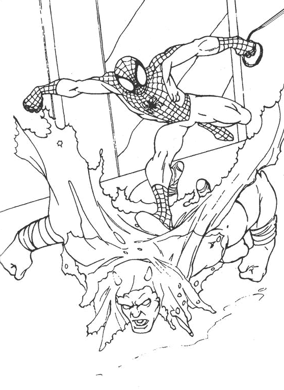 Spiderman #48502