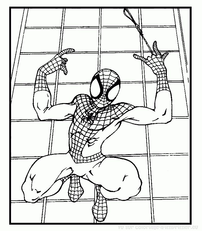 Spiderman #48512