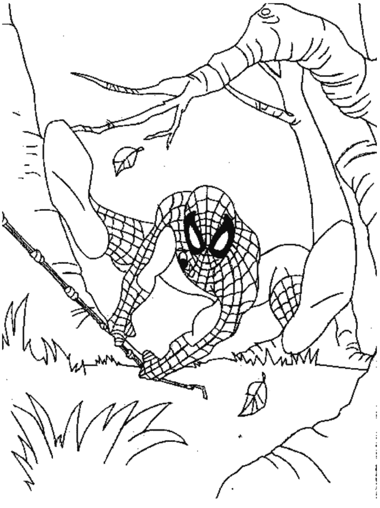 Spiderman #48520