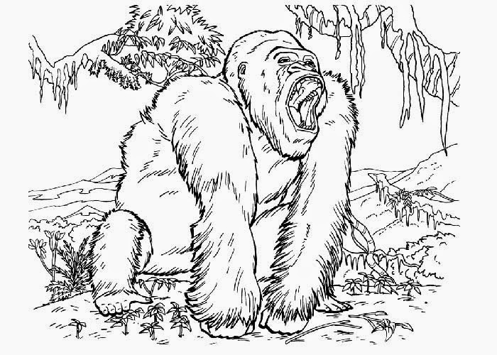 King Kong #49204