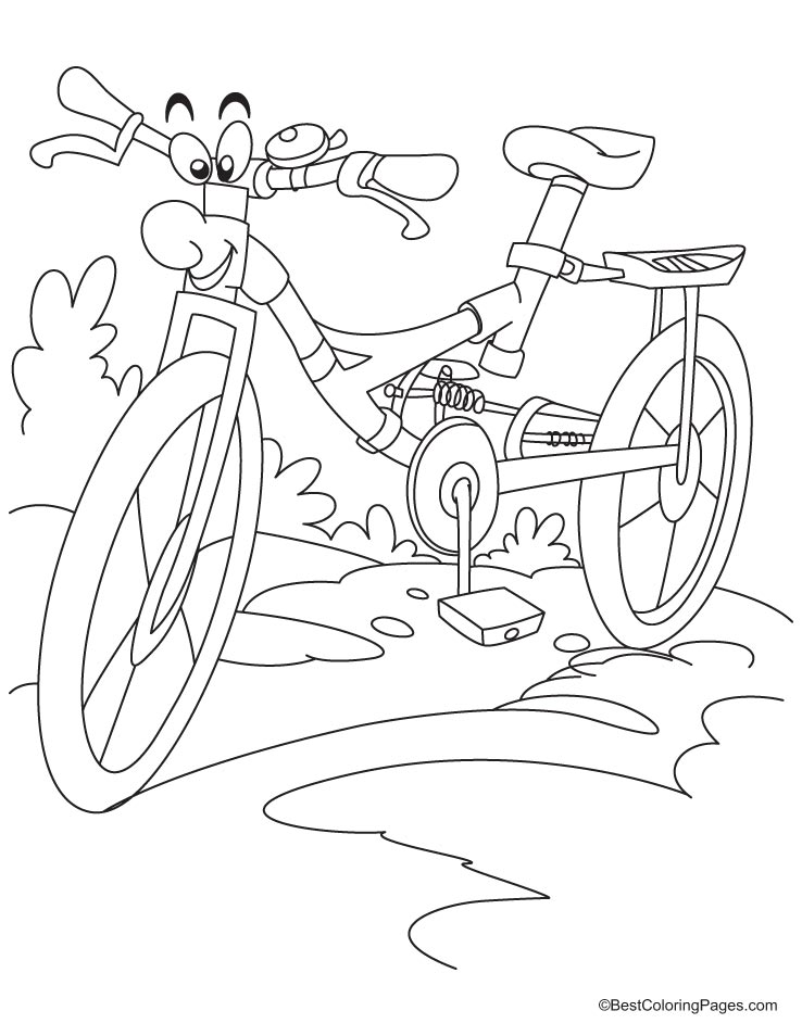 Bicicleta #49377
