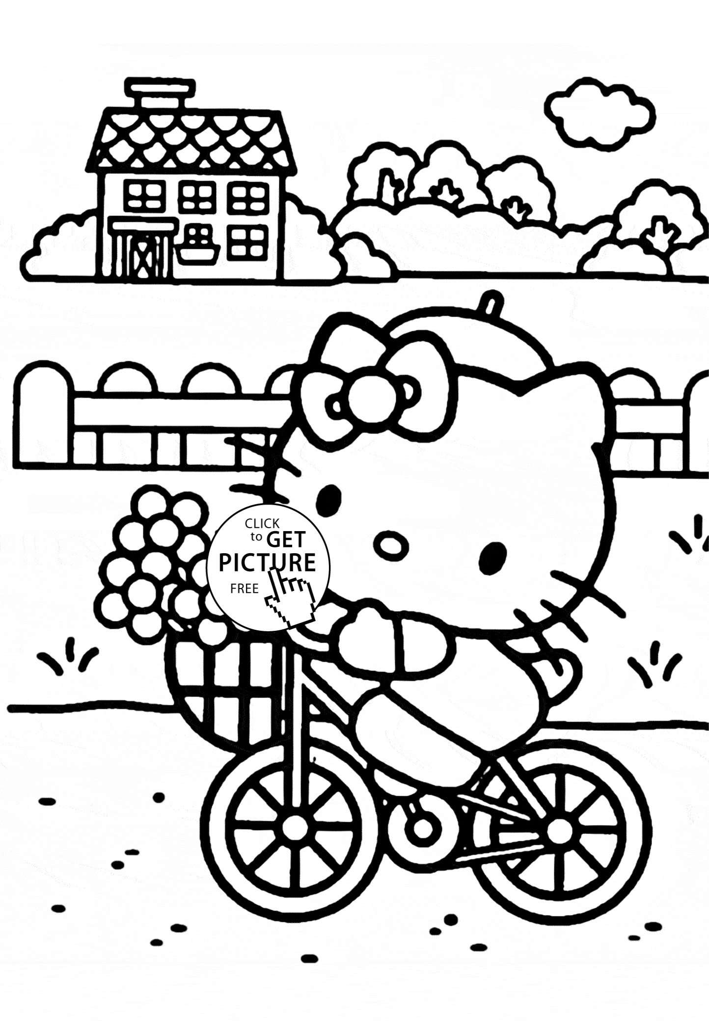 Bicicleta #49381