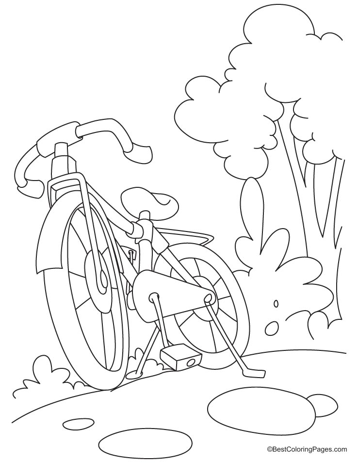 Bicicleta #49411
