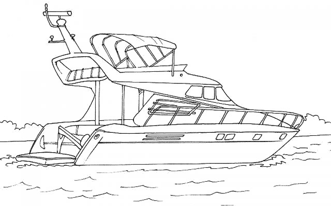 Barco #49455