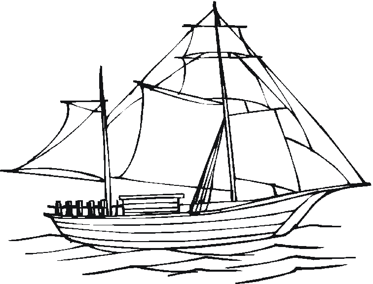 Barco #49466
