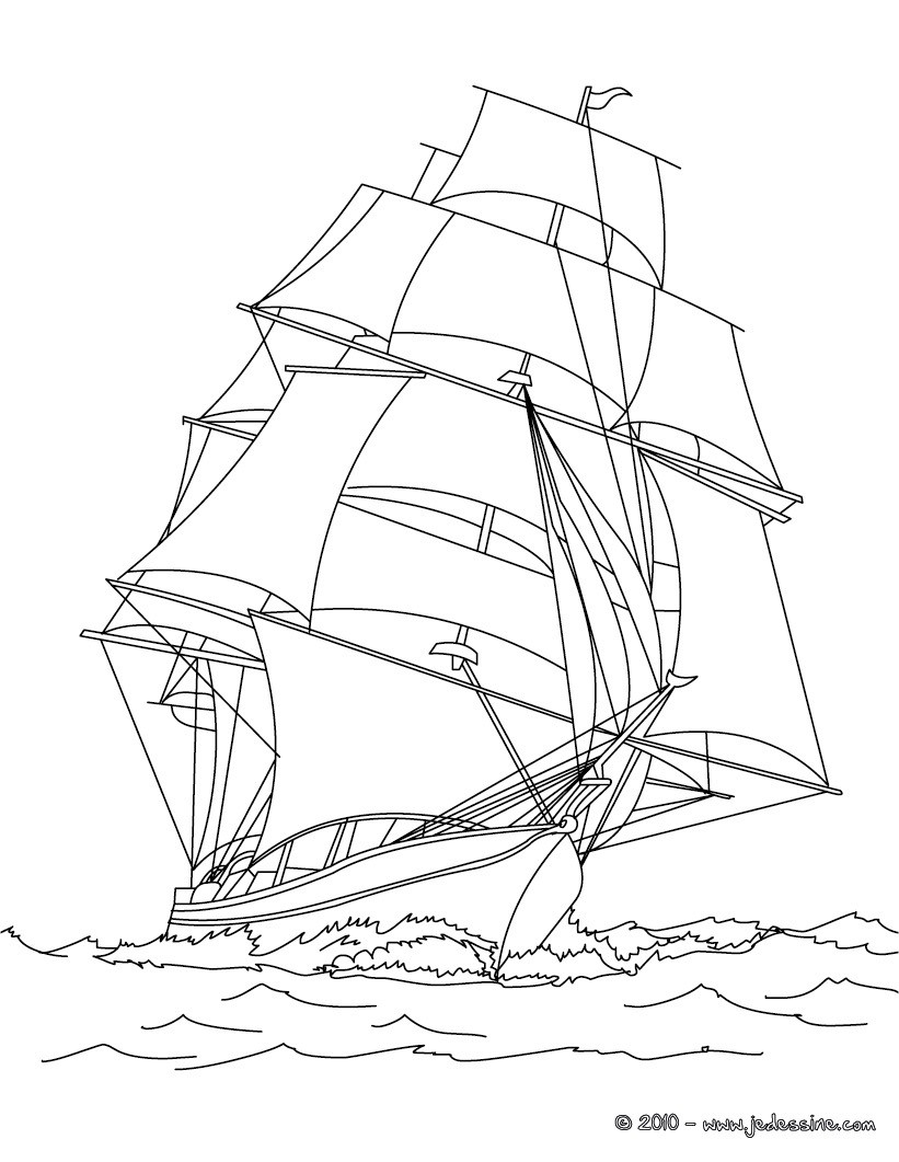 Barco #49479