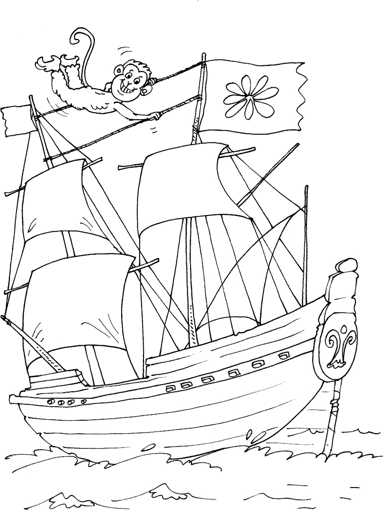 Barco #49507