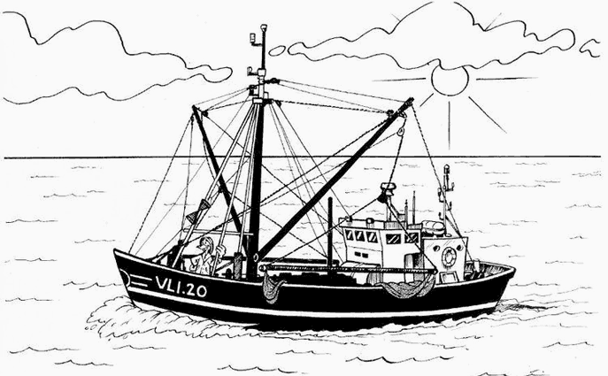Barco #49533