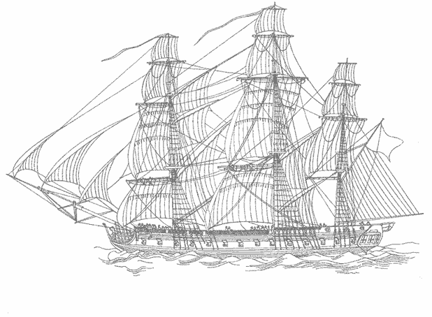 Barco #49541