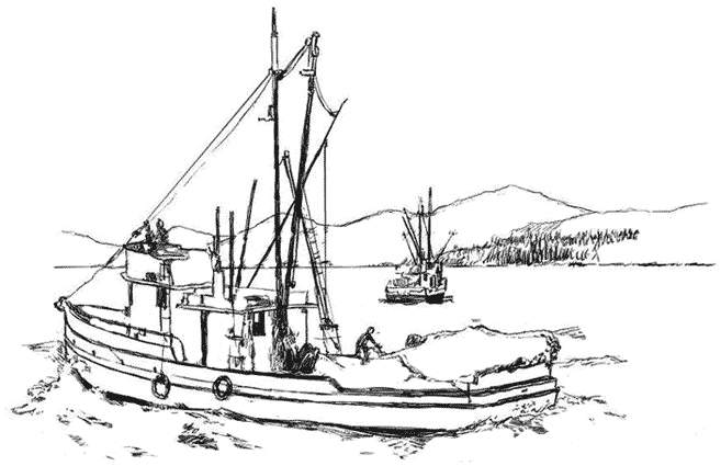 Barco #49542