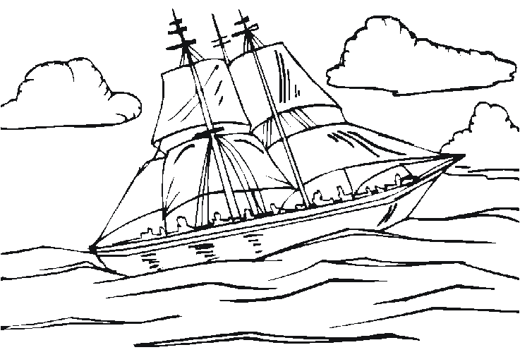Barco #49544