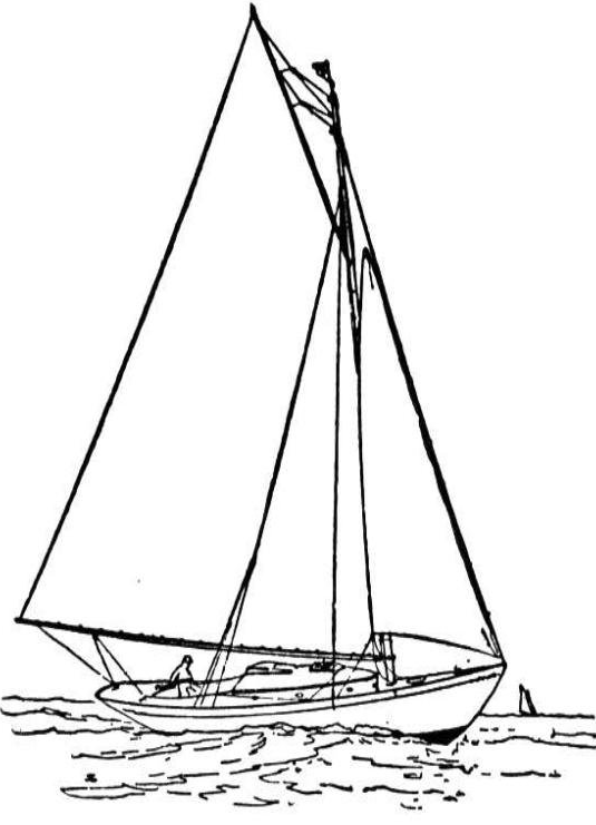 Barco #49545