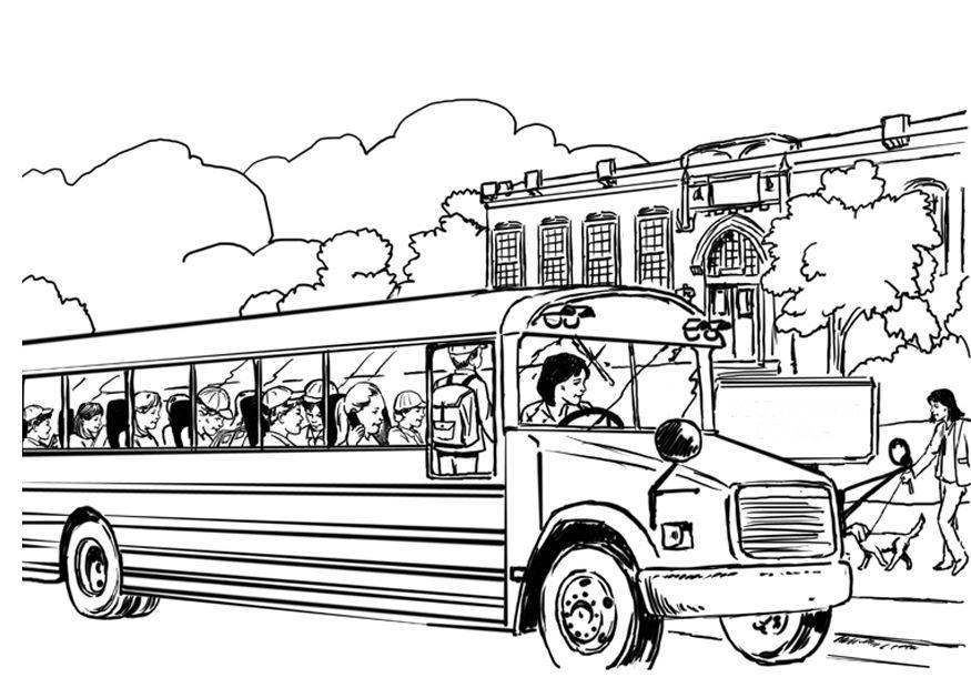 Autobús #49664