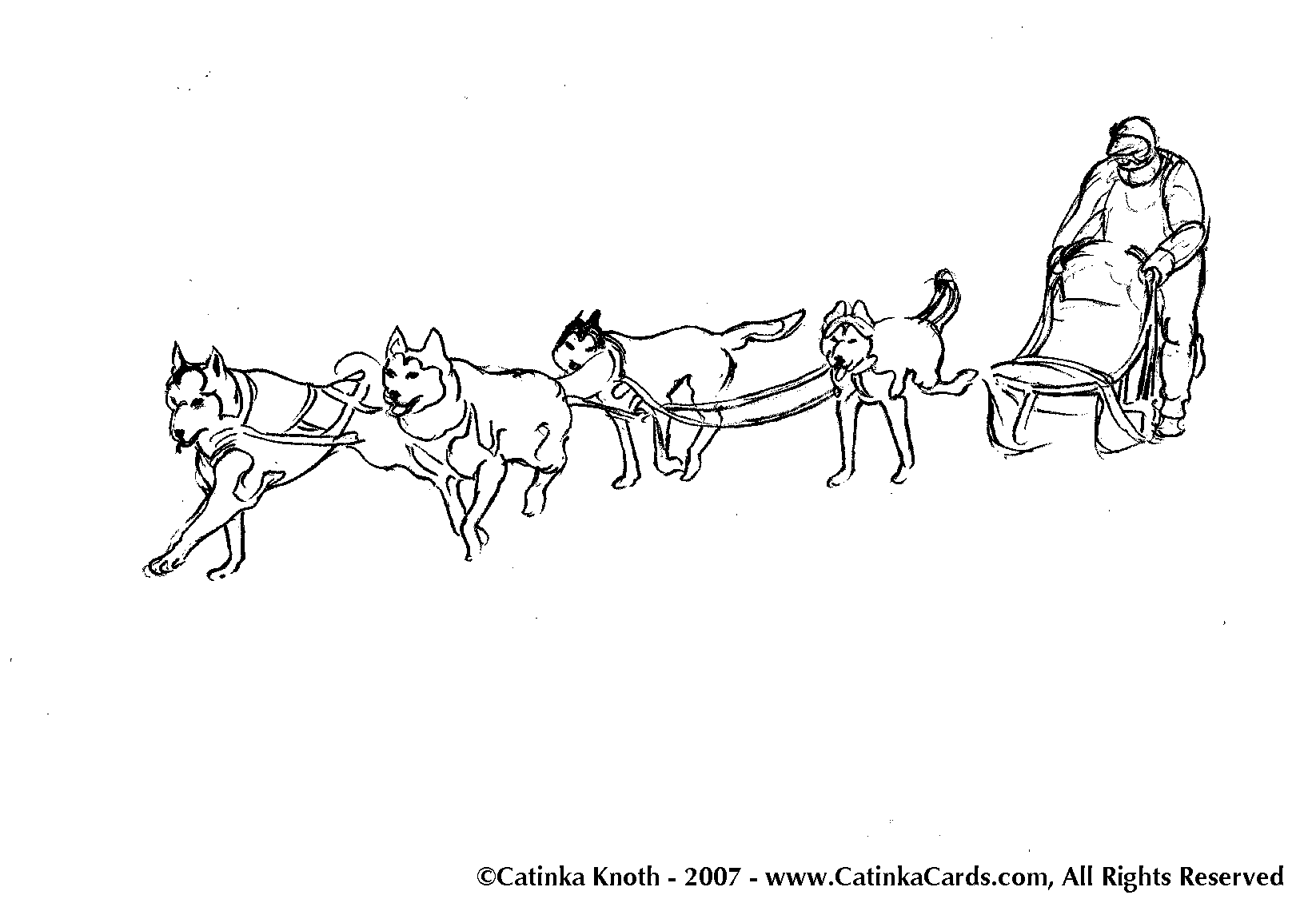Trineo de perros #49996