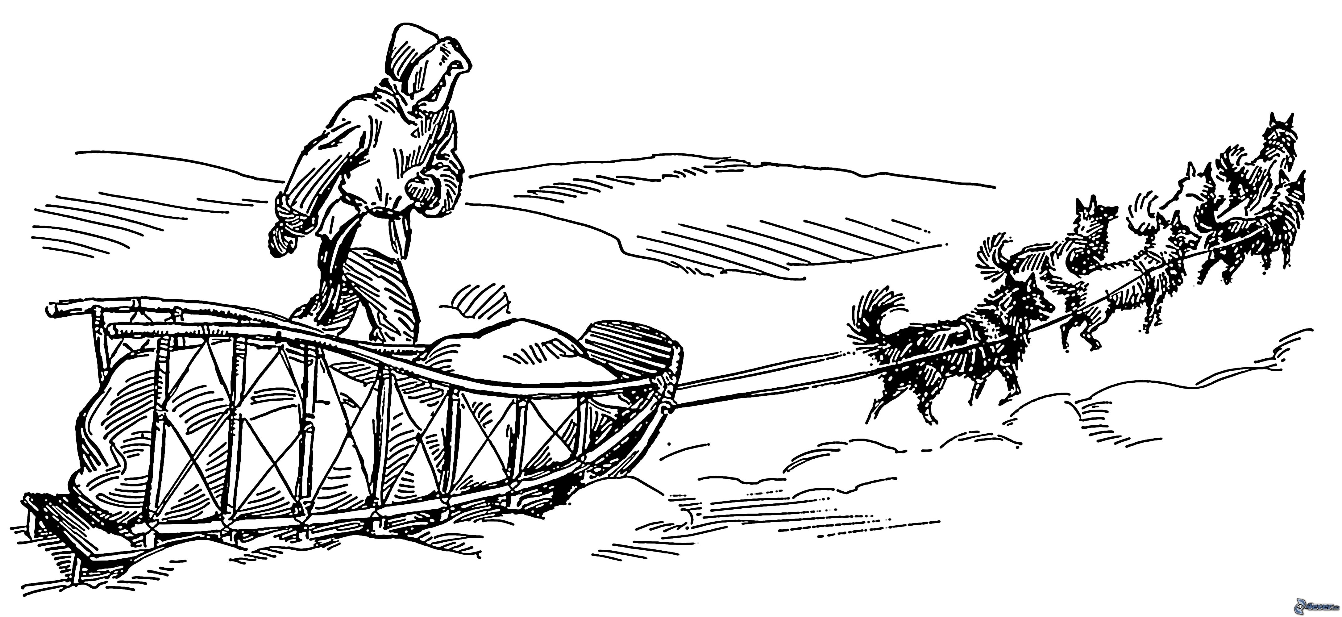 Trineo de perros #49997