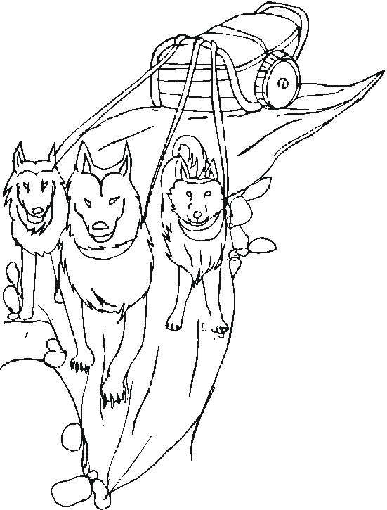 Trineo de perros #49998