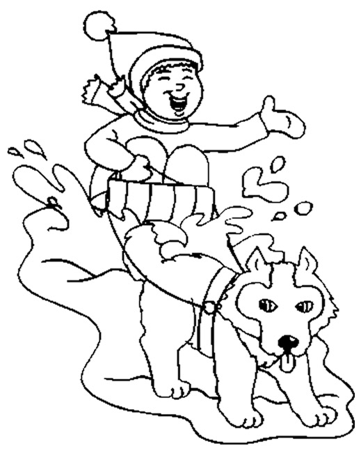 Trineo de perros #50000