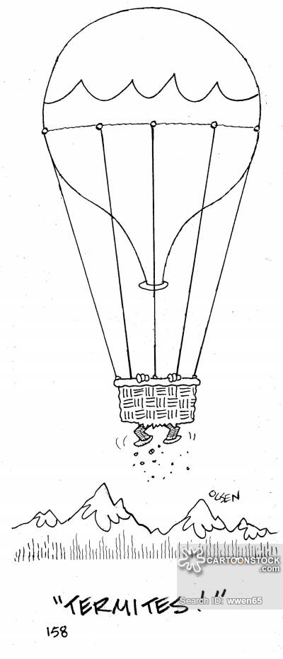 Globo aerostático #50325