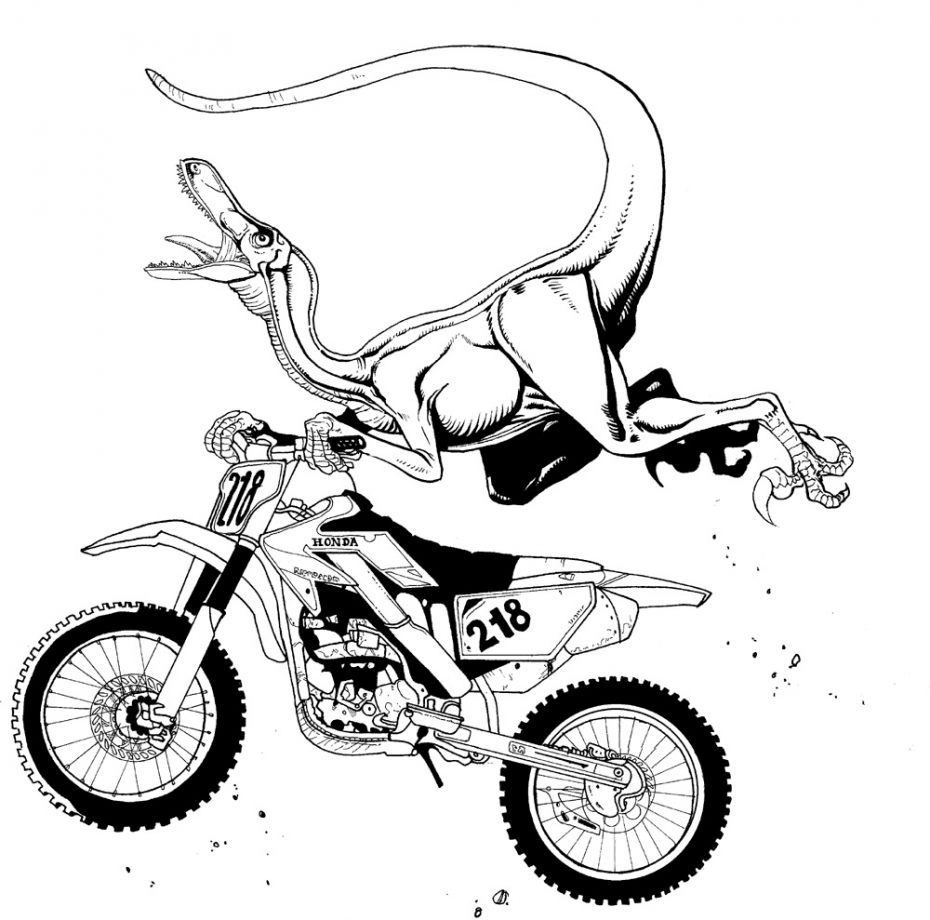 Motocross #50578
