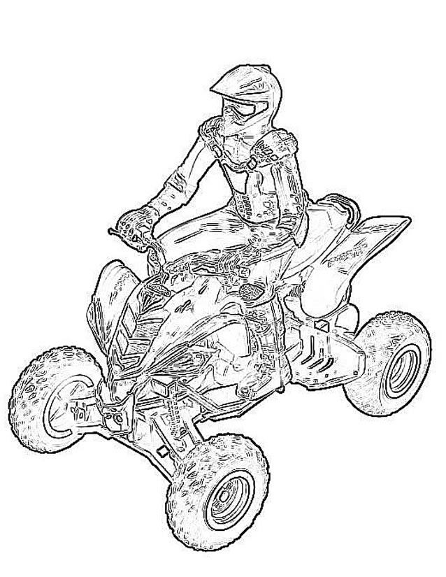 Quad #50972