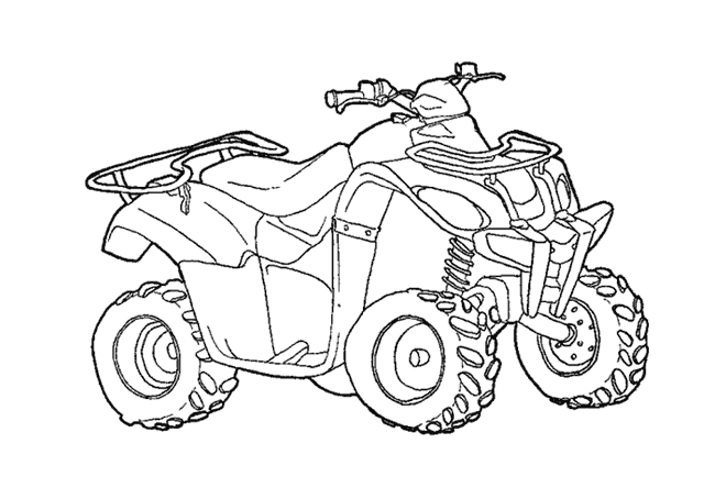 Quad #50973