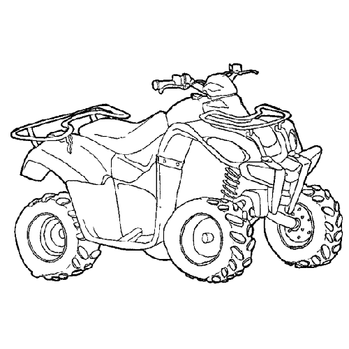Quad #50976