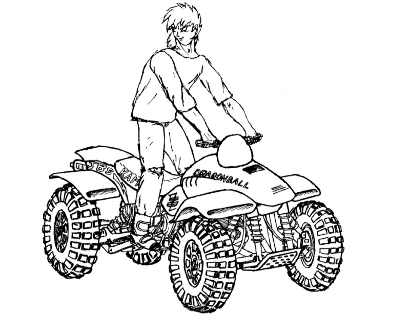 Quad #50978