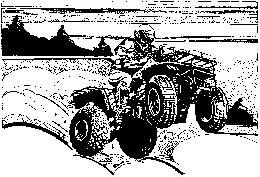 Quad #50981