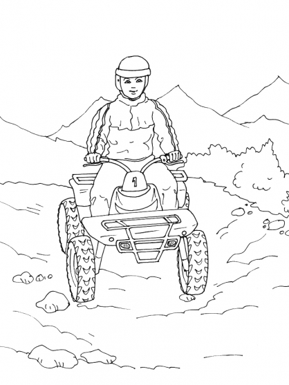Quad #50985