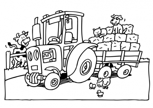 Tractor #51919
