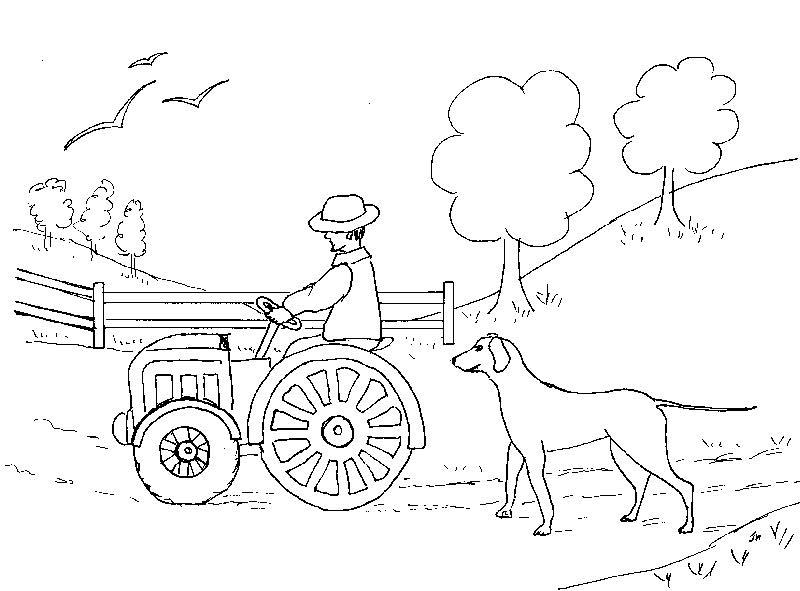Tractor #51949