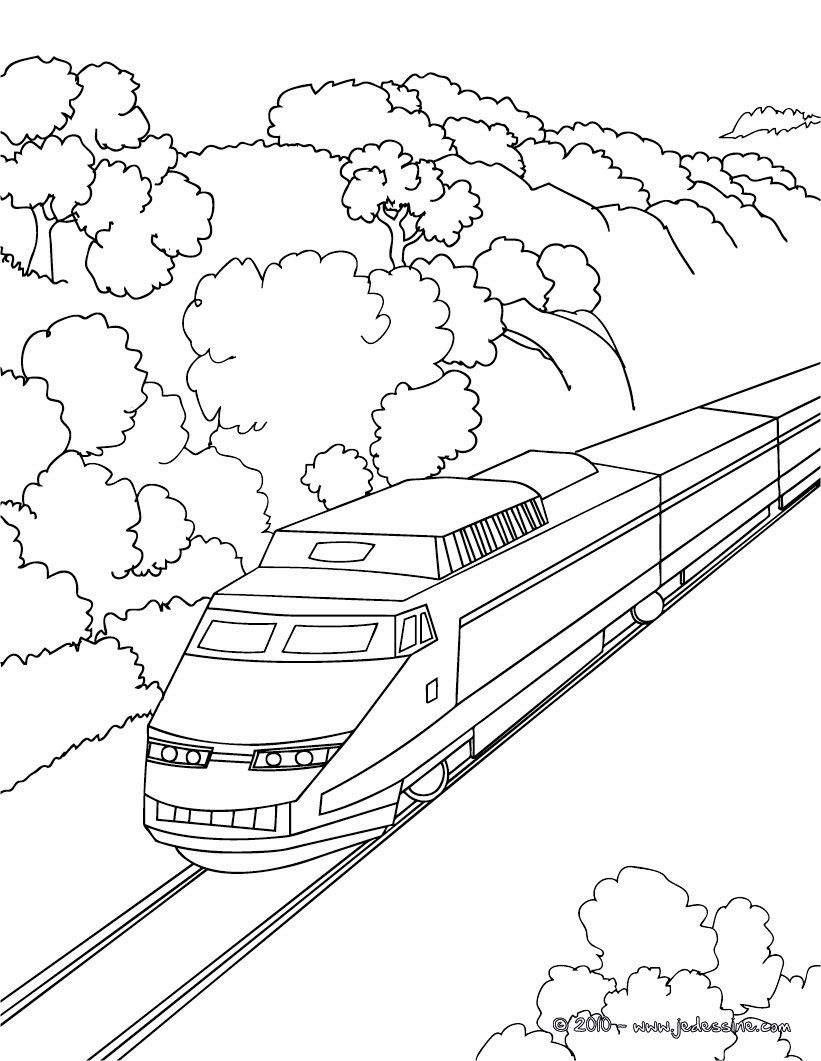 Tren #51978