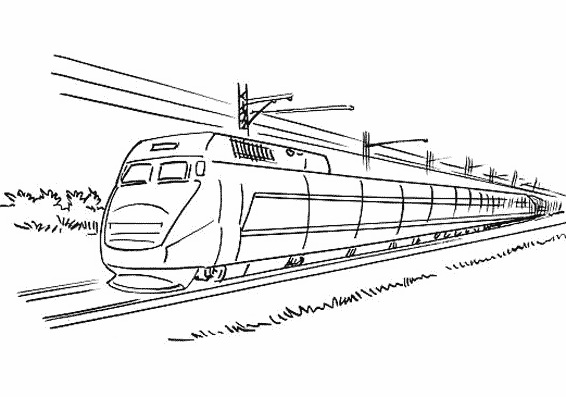 Tren #51982